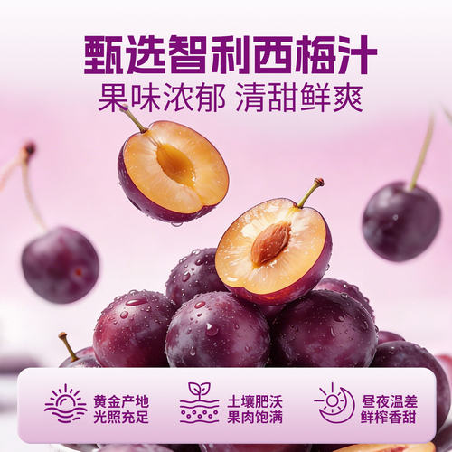 生和堂益生元西梅汁10袋装便携小袋富含膳食纤维酸甜解腻西梅饮品 - 图1