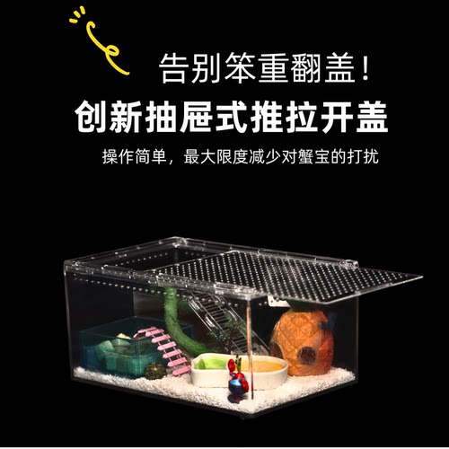 【寄居蟹饲养套餐】新手套餐饲养箱盒用品桌面宠物儿童礼物 - 图1
