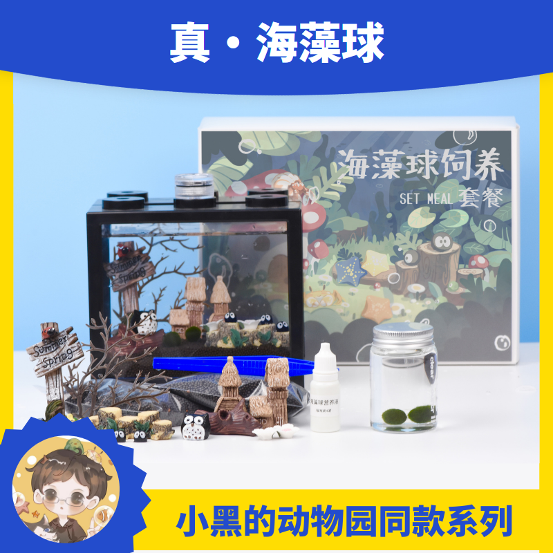 marimo马里莫幸福海藻球微景观生态缸桌面迷你植物创意DIY礼物 - 图1