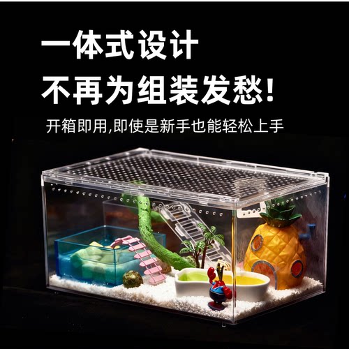 【寄居蟹饲养套餐】新手套餐饲养箱盒用品桌面宠物儿童礼物 - 图0
