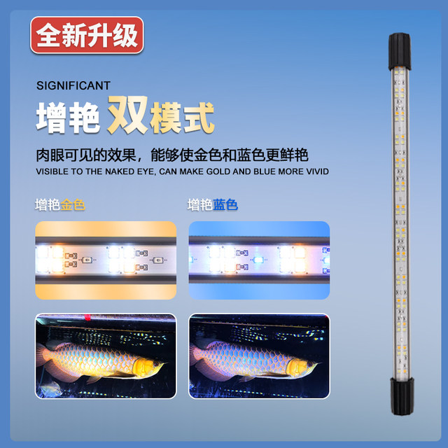 Horse seal magic lantern with golden blue and white color on blue background