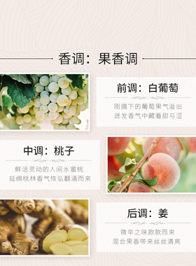 意大利Dr.Vranjes贝利尼无火藤条香薰除味室内卧室可送礼