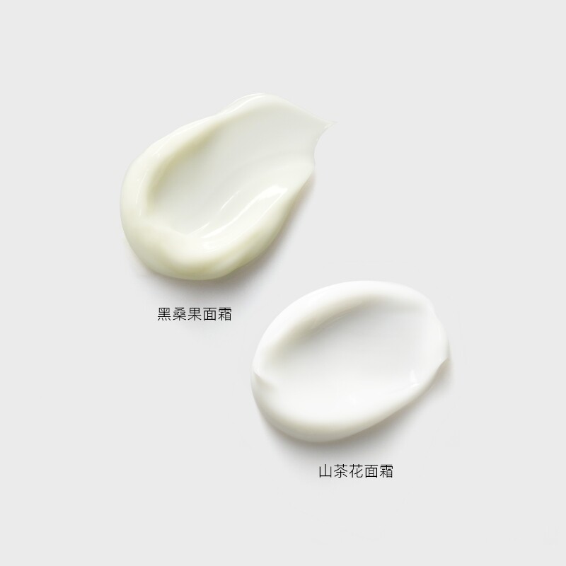 ANRUZ安润适山茶花面霜保湿肌肤不粘腻易吸收早晚面霜 55g