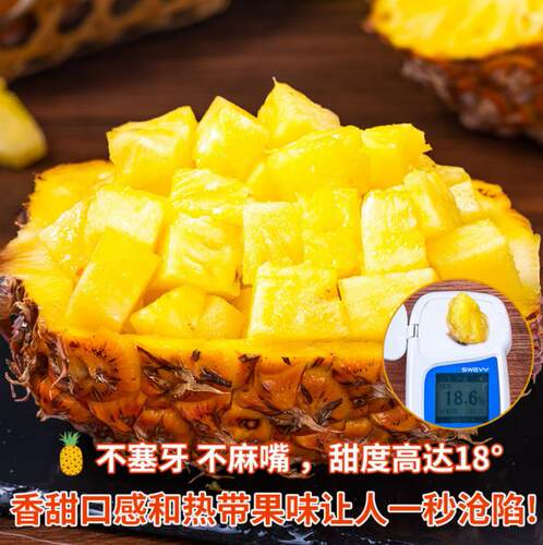 海南手撕金钻凤梨不涩嘴应当季新鲜现摘包邮凤梨香甜多汁应季水果 - 图0