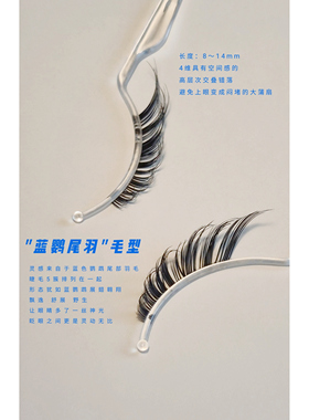 “游戏人间.拼豆乐”假睫毛蓝鹦尾羽毛型嫁接发散感狐系斜飞自然
