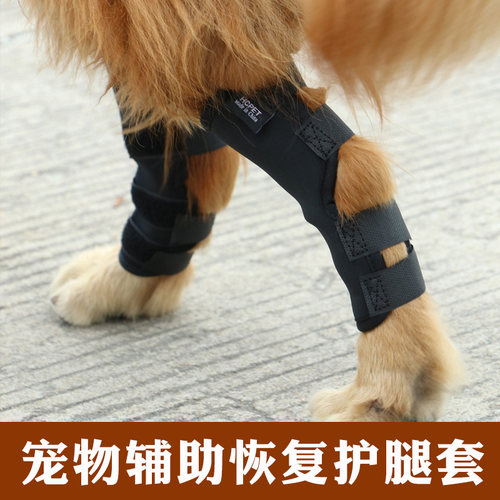 宠物护膝护腿狗狗骨折腿部受伤手术固定支撑保护套金毛大型犬护具 - 图0