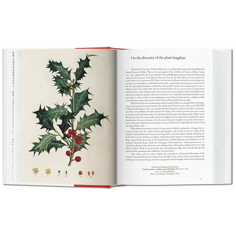 【现货】TASCHEN伊甸园：植物插图杰作 A Garden Eden. Masterpieces of Botanical Illustration 英文花卉插画原画设定集原版书籍 - 图0