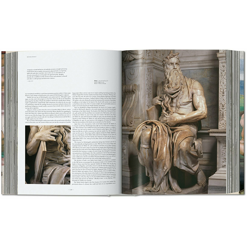 【现货】TASCHEN Michelangelo The Complete Works.精装加大版米开朗基罗画册作品完整全集:绘画雕塑建筑艺术鉴赏收藏原版图书-图3