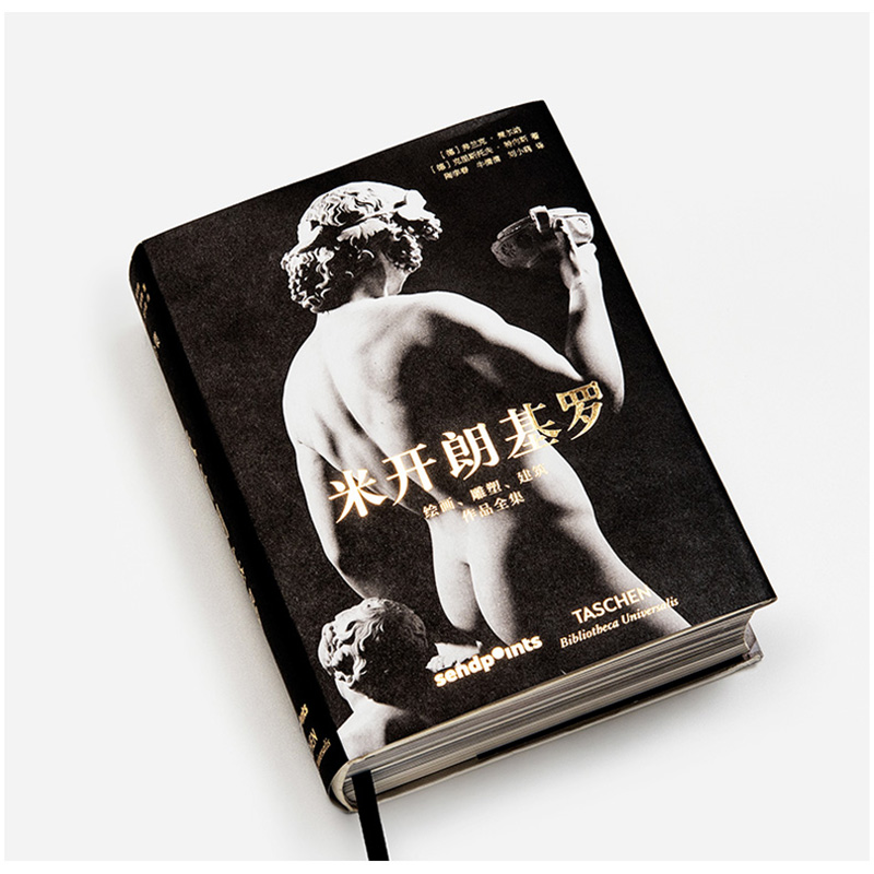 【现货】TASCHEN  米开朗基罗画册绘画雕塑建筑作品全集 世界图书馆系列 西方艺术大师图册图集简体中文版 - 图0