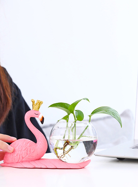 绿萝器皿花盆水养火烈鸟小摆件