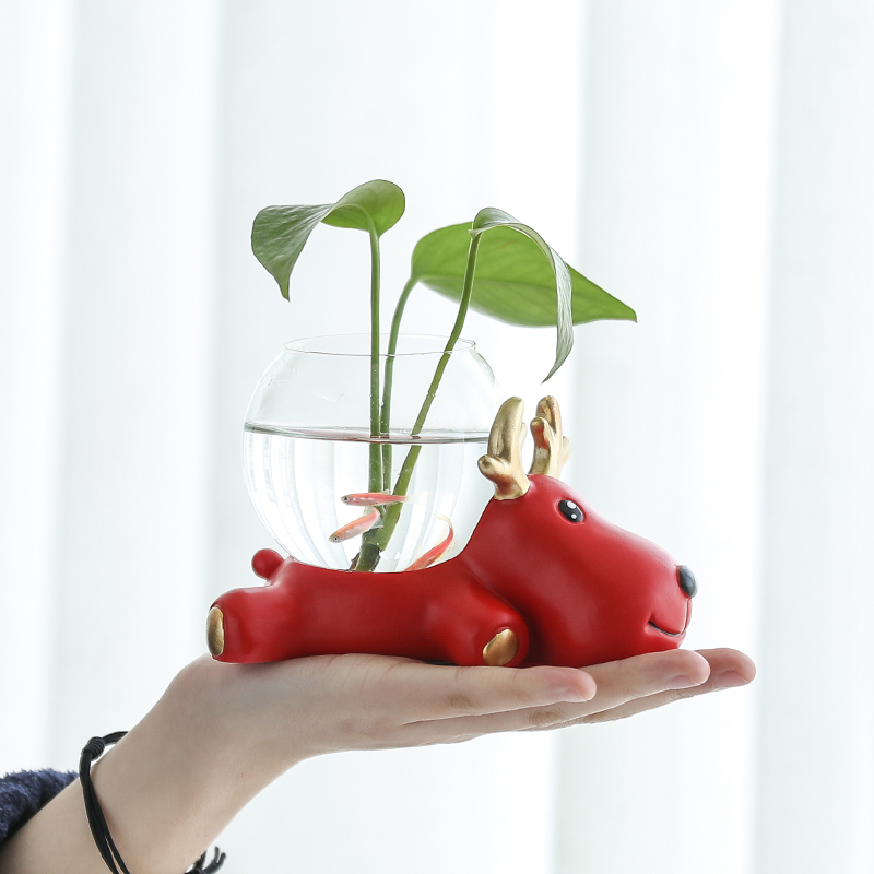 水培植物玻璃瓶透明玻璃花瓶容器绿萝卡通花盆圆球形鱼缸水养器皿,淘宝优惠券,粉丝福利购,淘宝优惠卷