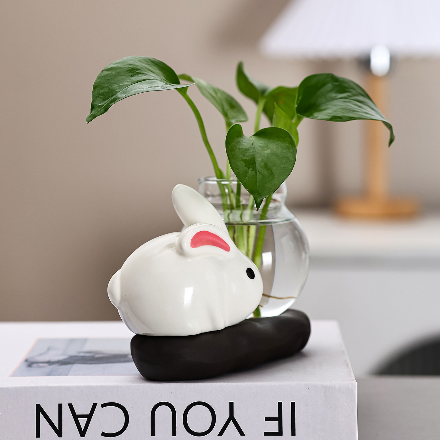 可爱陶瓷兔子水培花盆水养花瓶陶瓷花盆透明多肉花盆桌面装饰,淘宝优惠券,粉丝福利购,淘宝优惠卷
