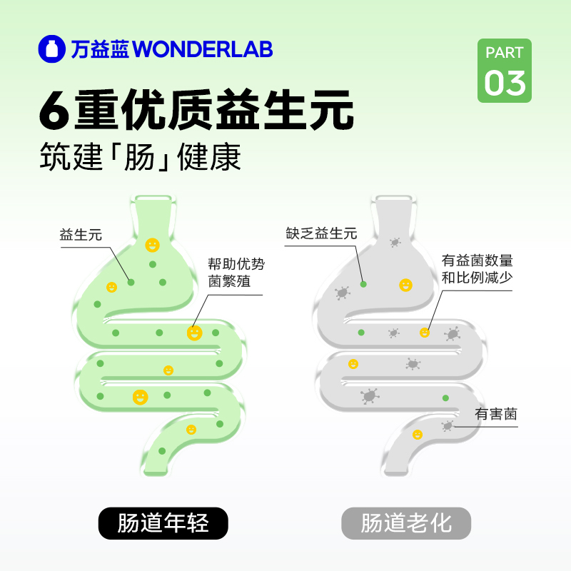 万益蓝WonderLab白芸豆膳食纤维素粉清小绿条菊粉肠道固体饮料3盒 - 图1