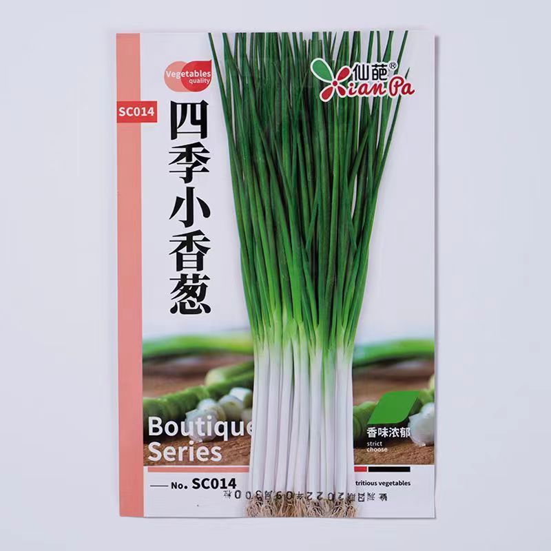 四季小香葱种子阳台室内盆栽家庭室内可种菜种蔬菜种籽_绿宝种业公司_鲜花速递/花卉仿真/绿植园艺-第3张图片-提都小院 四季小香葱种子阳台室内盆栽家庭室内可种菜种蔬菜种籽_绿宝种业公司_鲜花速递/花卉仿真/绿植园艺-第3张图片-提都小院