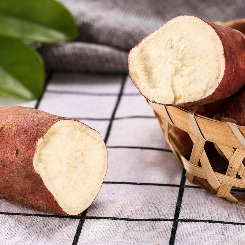 高州爆皮王白心面包王新鲜现挖番薯 鲜乐意番薯