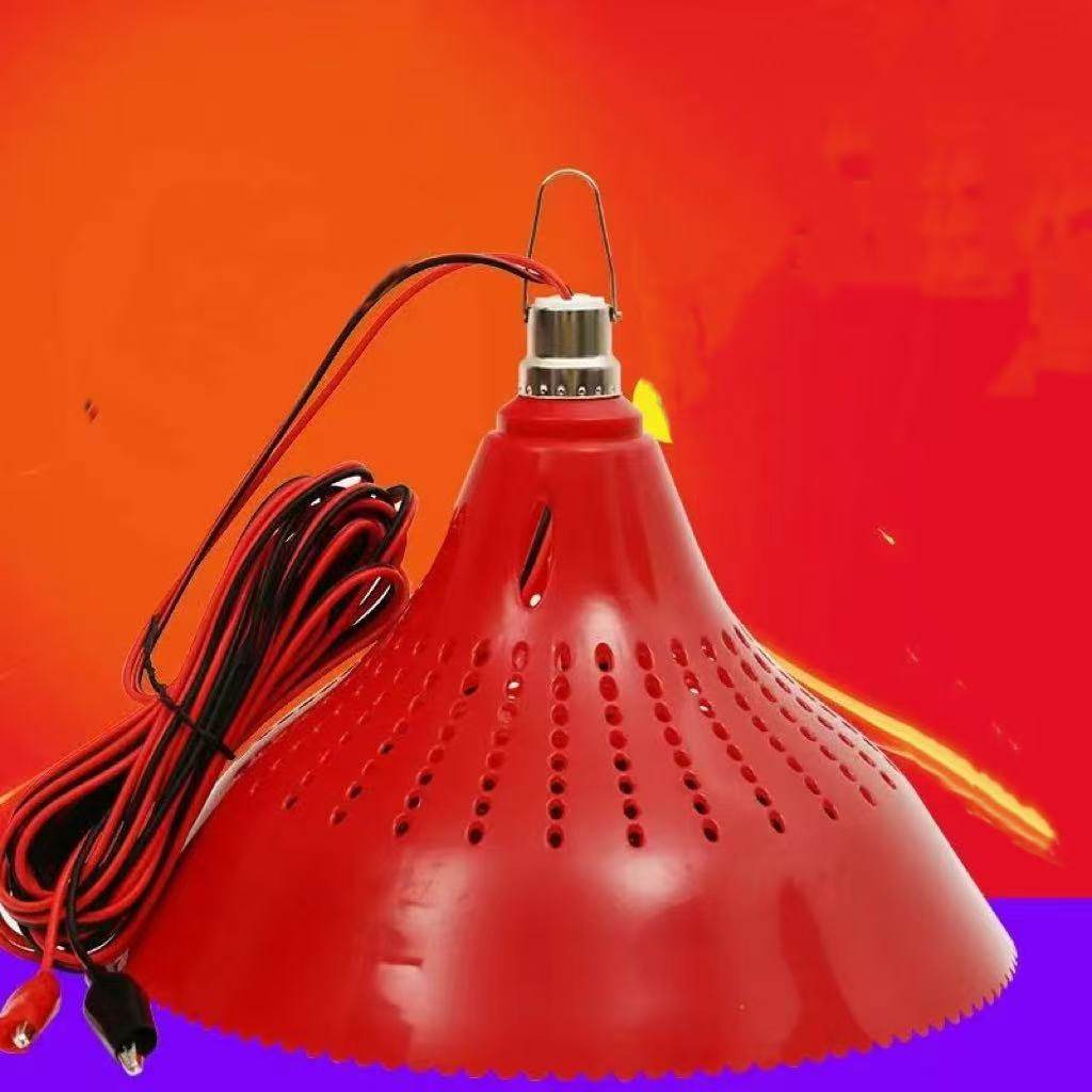 12V24V48V地摊灯夜市低压电瓶灯生鲜灯猪肉灯水果熟食灯红光变色,淘宝优惠券,粉丝福利购,淘宝优惠卷