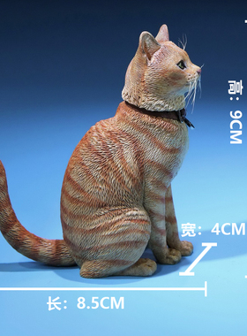 橘猫狸花猫三花猫摆件猫咪手办