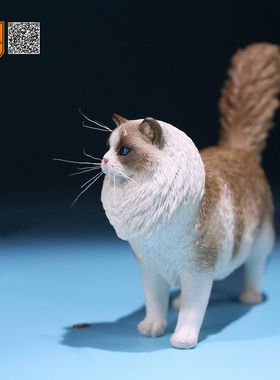 布偶猫咪手办猫咪手办猫咪摆件