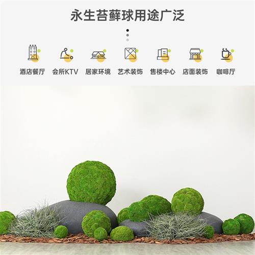 永生苔藓球创意绿植物仿真青苔球背景墙装饰白发藓大灰藓室内造景