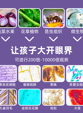 火星猪显微镜中小学生专用儿童可看细菌科学实验专业器材光学高清