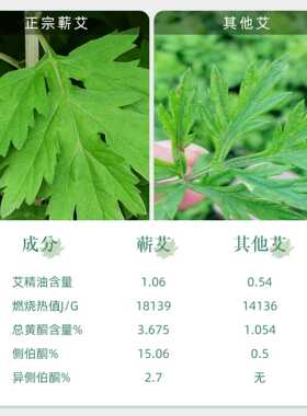 蕲怡堂膝盖贴 蕲春艾草贴12贴/盒