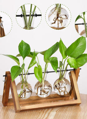 简约水培玻璃透明小花瓶水养绿萝植物花盆瓶子插花装饰 创意摆件