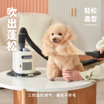 Pet Kitty pooch Bath Dryer Blowdryer blower washing dog Machine Home Small blown hair blow-drying God Dryer