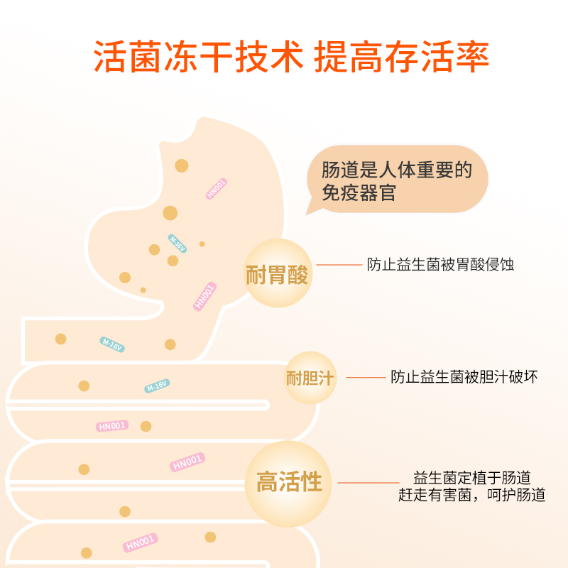 葆迪乐益生菌Bb-12婴幼儿可食用菌种LGG宝宝益生菌儿童成人150亿 - 图1