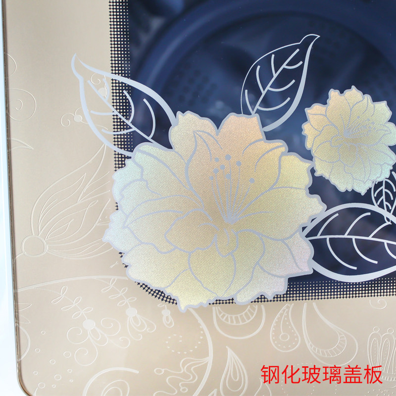 海鸥10公斤大容量半自动家用洗衣机 海鸥电器洗衣机