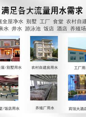耀龙泉大流量黄泥水克星直饮
