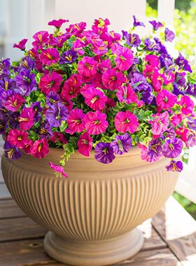 ins喇叭花假花满盆餐厅室