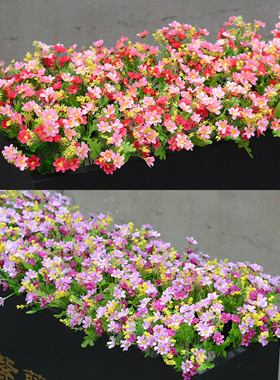 跳兰菊户外花箱用花仿真花假花