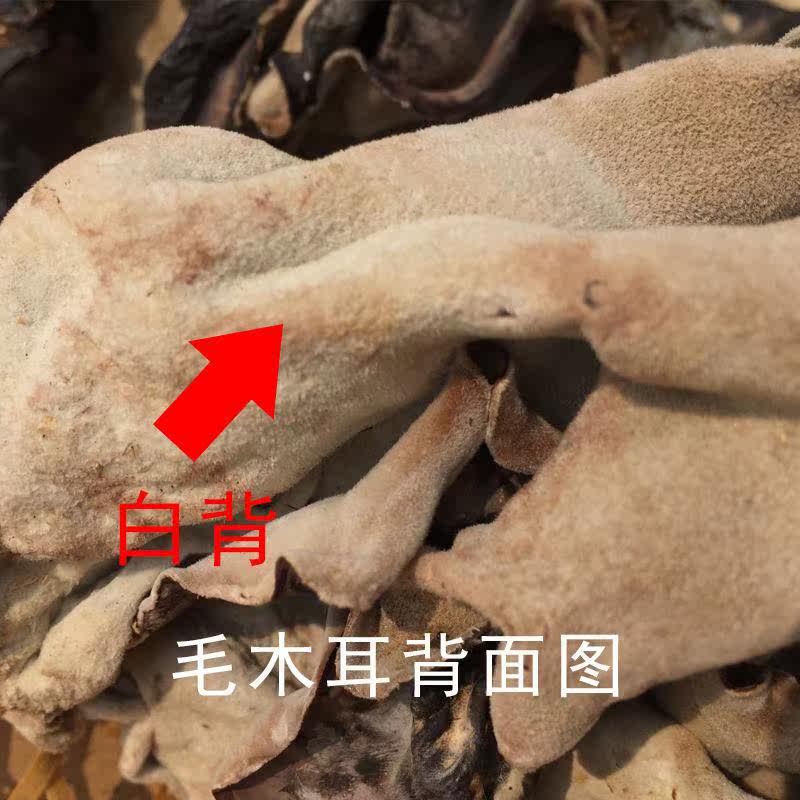农家白背500g肉厚大火锅毛木耳 广农乐黑木耳