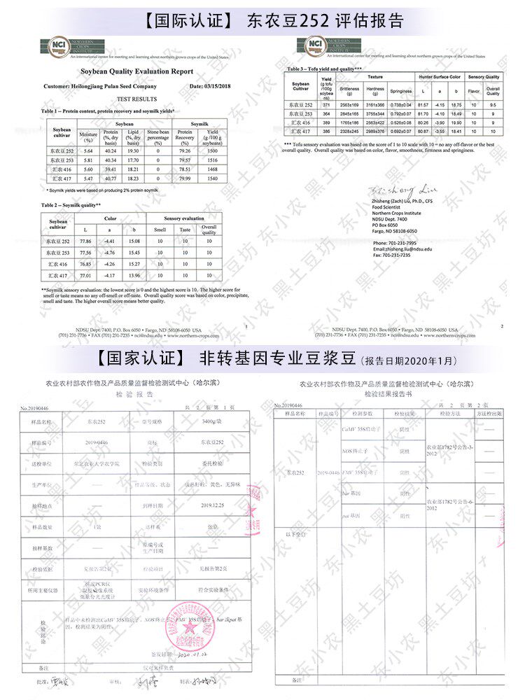 东北农业大学非转基因打豆浆新大豆 广农乐黄豆