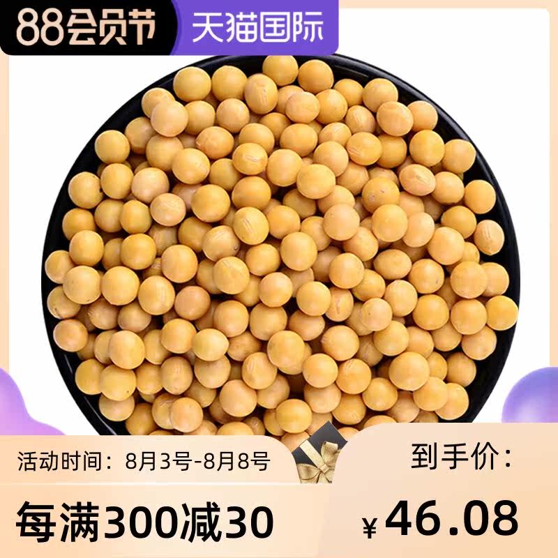 东北能发豆芽的黄豆10斤豆牙小黄豆 广农乐黄豆