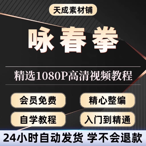 咏春拳教学视频全套教程自学培训木人桩经典训练零基础入门到精通 - 图0