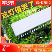 Ornamental Fish Parrot Fish Small Wide Angle Light Red Dragon Tube Water Algae Double-Row Waterproof Exclusive Bounty Light Water Cluster Box