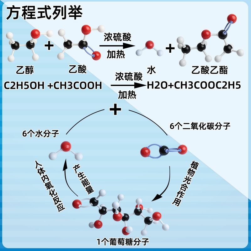 新款初高中球棍模型化学分子结构模型比例有机无机晶体VSEPR模型中学化学分子球原子学生用实验器材教具演示