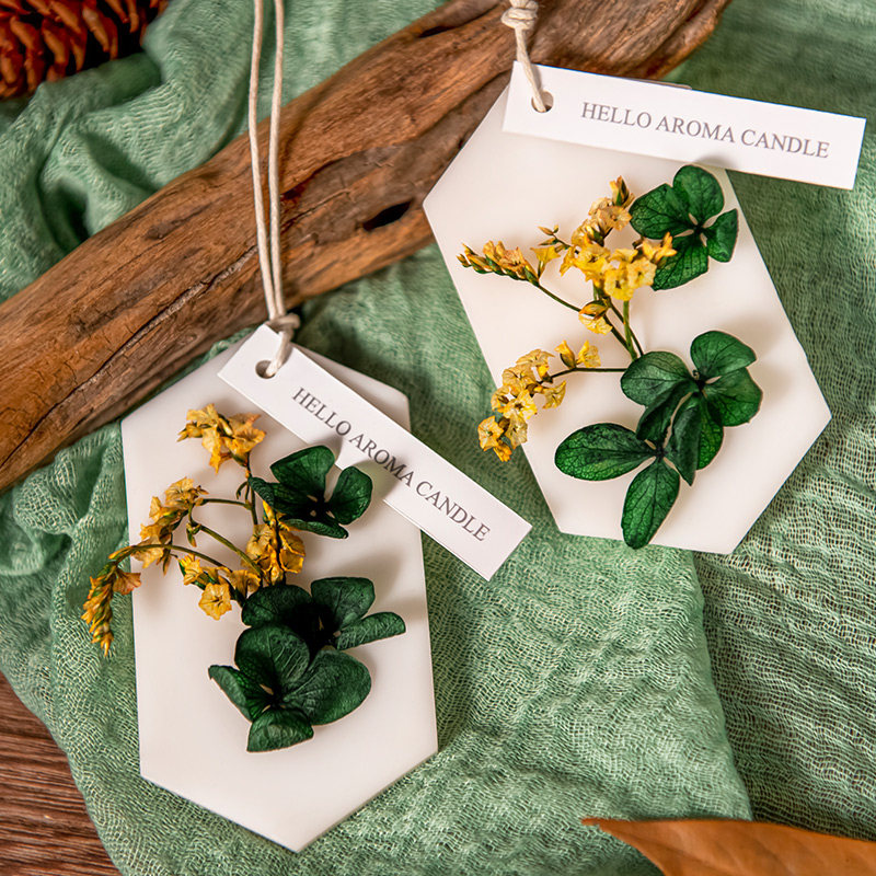 衣柜香薰蜡片持久留香清香除味香片 南极人中邮汇金香熏蜡烛