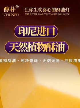 九紫离火紫气东来菠萝旺来蜡烛紫色酥油灯无烟马年开运转运启运