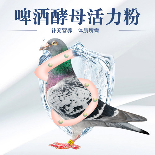 啤酒酵母粉鸽用信鸽鸽子用活菌赛鸽补体调理肠道保健品活力营养品 - 图1