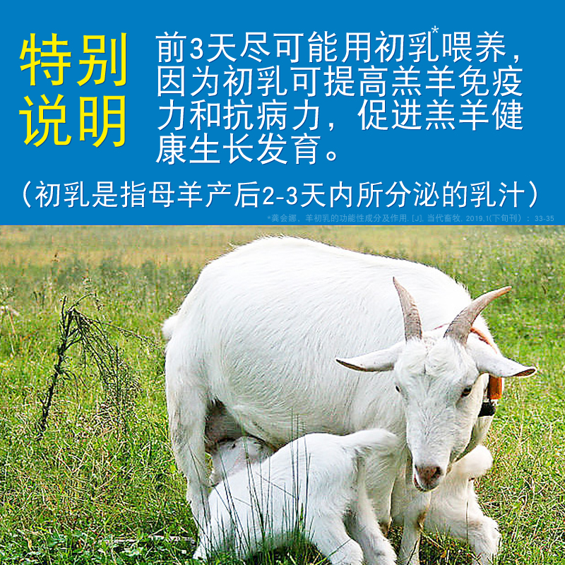 羔羊奶粉2斤兽用代乳粉动物专用喂小羊羔吃的幼羊奶喝的小羊奶粉 - 图2