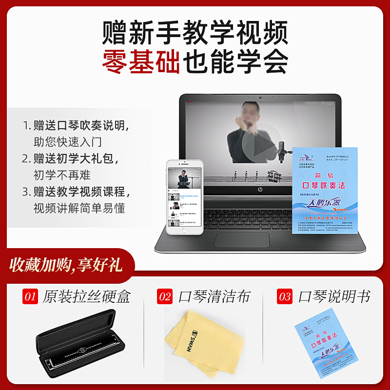 天鹅正品24孔c调复音初学者口琴 音域乐器专营口琴