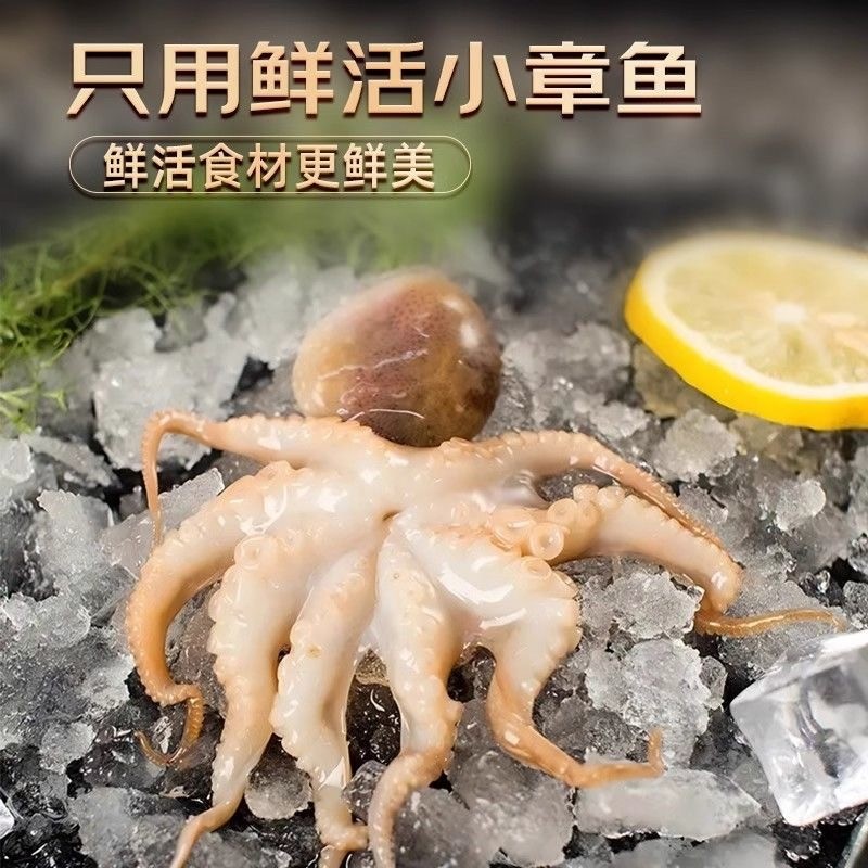 即食芥末章鱼小八爪鱼麻辣鲜蛤日式料理小菜日料店同款海鲜芥末味,淘宝优惠券,粉丝福利购,淘宝优惠卷