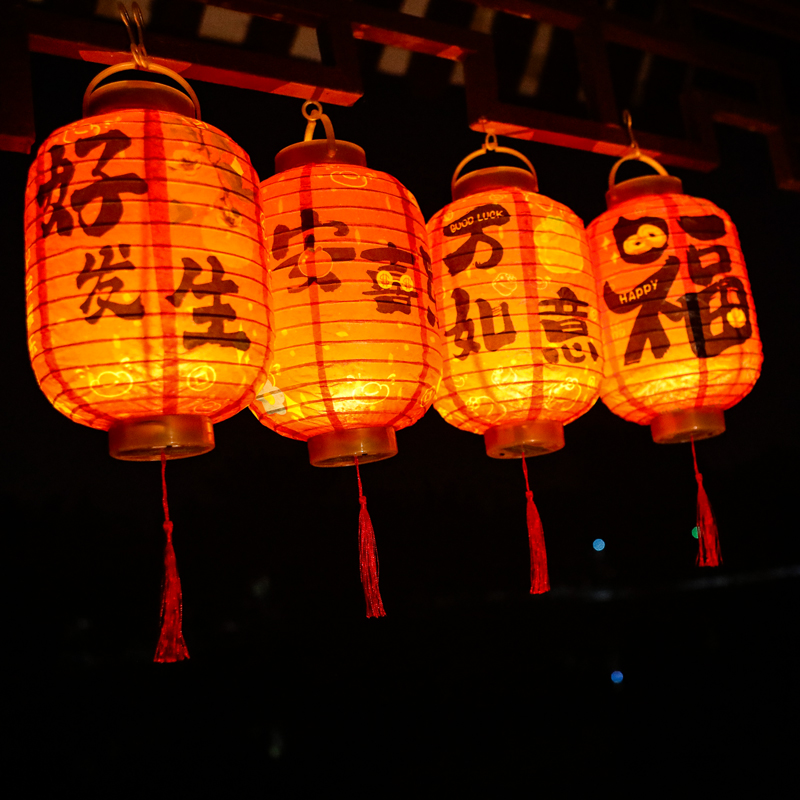 春节新年手提红灯笼宫灯2025新款中式儿童古风手提发光花灯摆地摊