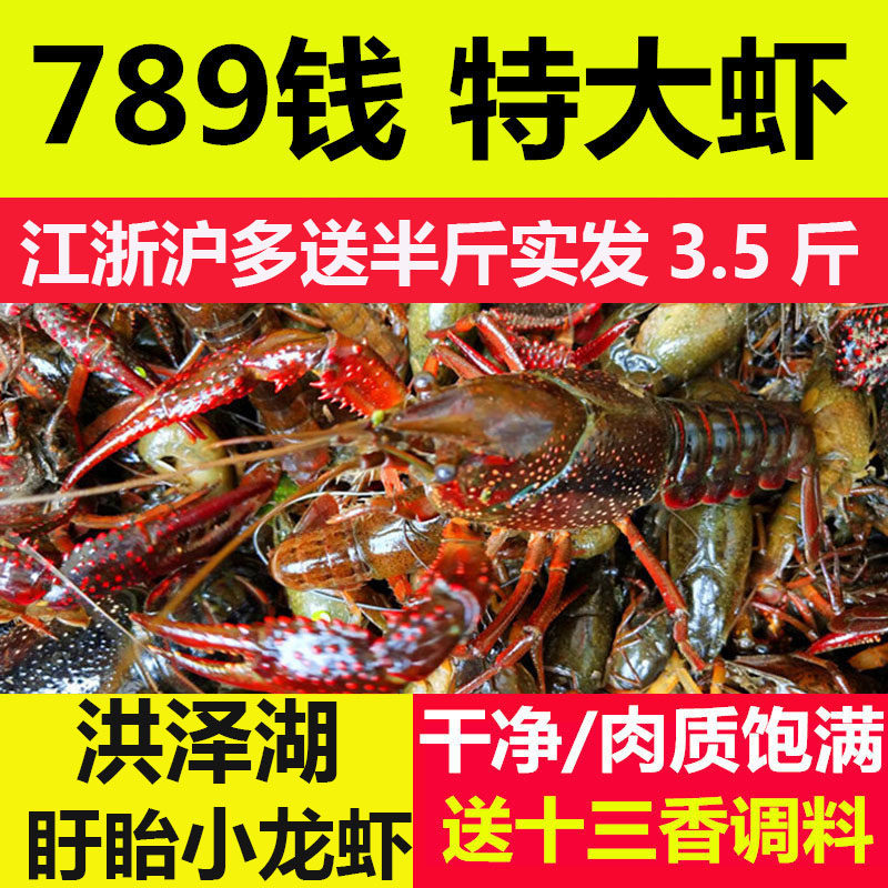 江苏清水鲜活789钱3斤装小龙虾 奇愿活虾