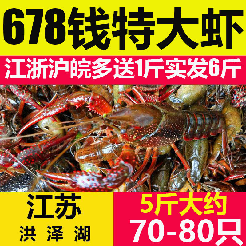 江苏盱眙新鲜活体678钱特大小龙虾 奇愿活虾