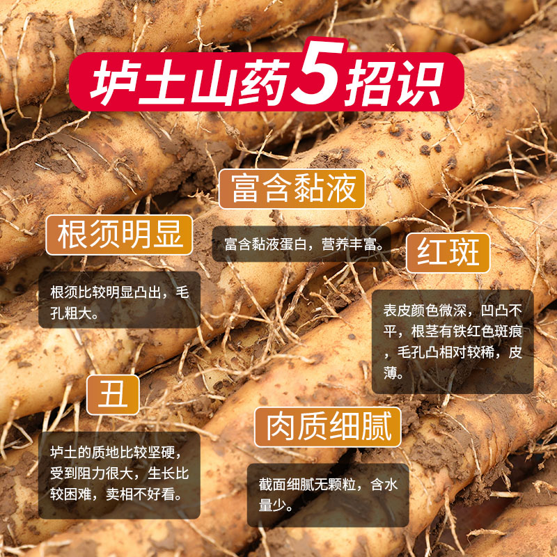 正宗垆土铁棍山药河南焦作温县怀山淮山药3铁杆新鲜5斤食品土特产-图3