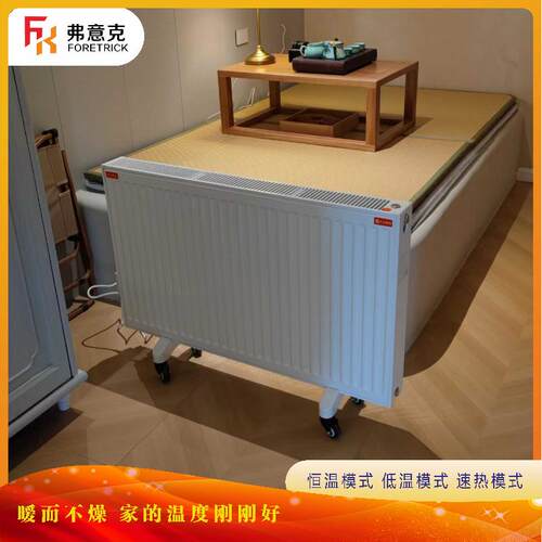 纯水暖气新款挂钢制墙式水电暖气片水循环电暖器注水取暖器片包邮 - 图3