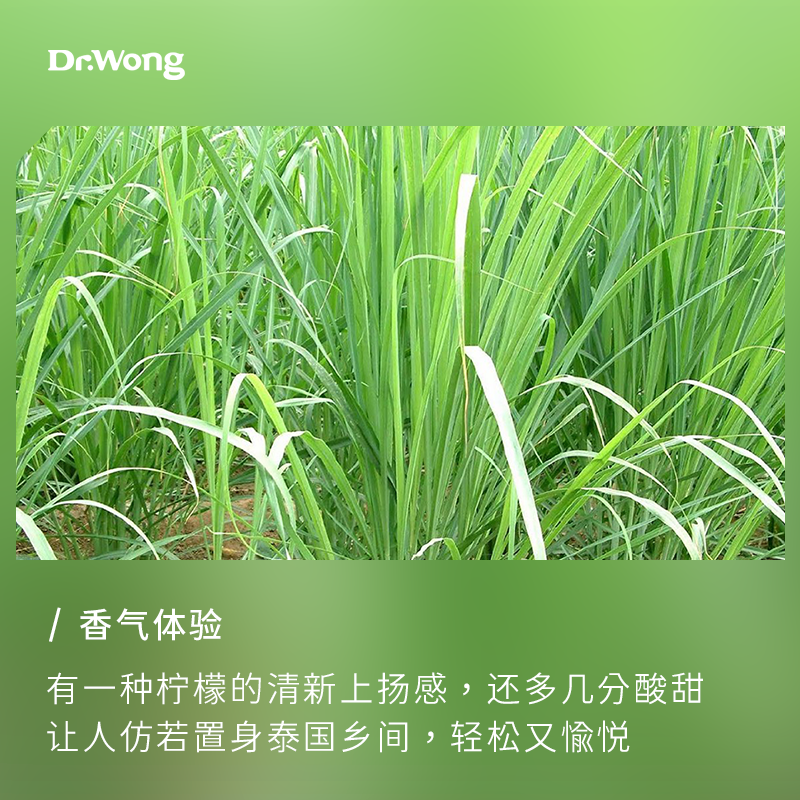 Dr.Wong柠檬草/柠檬香茅单方精油酸甜清新异国风情天然植物油香薰-图0